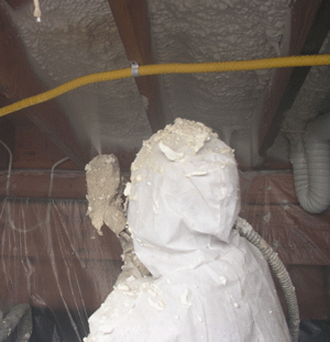  WA crawl space insulation